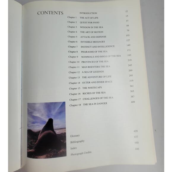 Jacques Cousteau The Ocean World 1981 Book Marine Life Sea Nature Photography - Picture 7 of 10